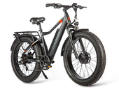 Электрофэтбайк Gelbert Pegas 4 DUAL PRO MAX (Бежевый) - Фото 1